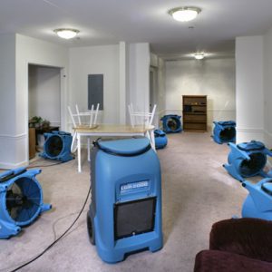 Water Removal Services
