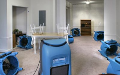 Water Removal Services, Lakeland, FL