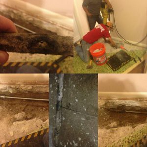 Commercial Plumbing Maintenance in Lakeland, Florida