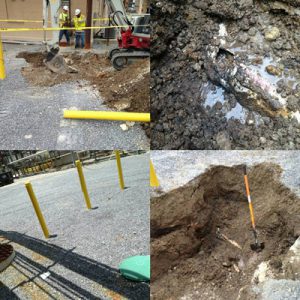 Commercial Plumbing Repair in Plant City, Florida