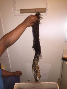 Unclog Toilet in Lakeland, Florida