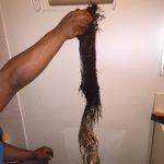 Garbage Disposal Installation in Lakeland, Florida