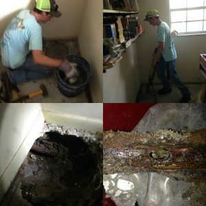24-Hour Plumber in Plant City, Florida