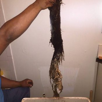 Garbage Disposal Installation, Brandon in Florida