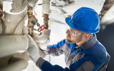 Why You Should Schedule Regular Plumbing Maintenance