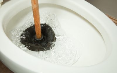 3 Tell-Tale Signs it is Time to Call a Plumber for Your Clogged Toilet