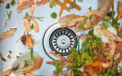 Is a Garbage Disposal Installation Really Necessary?