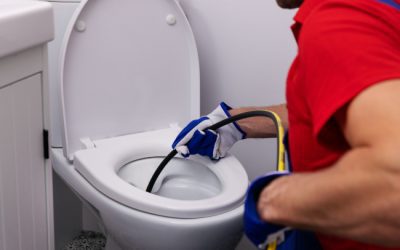 When to Call a Plumber About Your Clogged Toilet