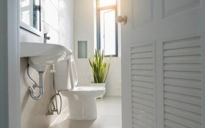 Detecting Drips: Possible Causes of a Leaking Toilet